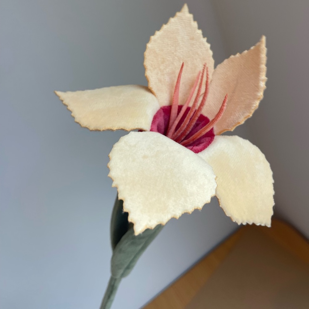 CJ Hendry Flower Shop peach and pink hibiscus